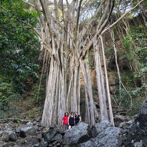 Meet your Posher, Maria d.